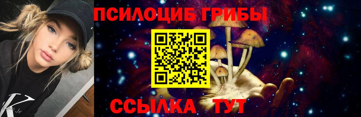 Псилоцибиновые грибы прущие грибы Светлоград